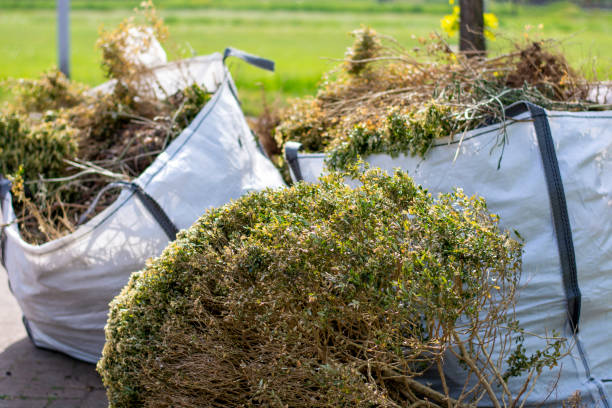 Retail Junk Removal in Csar Chvez, TX